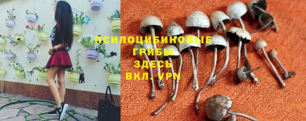 стафф Армянск