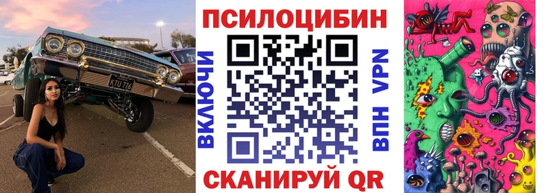 Купить  Славянск-на-Кубани  Псилоцибиновые грибы Cubensis 